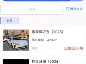车租裹挟、倒贴跑车……网约车发展背后的司机困境