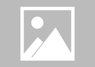 罗来君已任全国工商联专职副主席，曾在南航集团任职